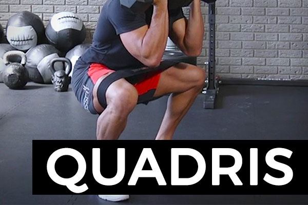 exercices quadriceps